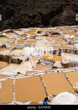 Alta vista angolare di Salinas de maras (maras saline), vicino a Cusco, Perù. Foto Stock