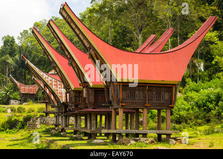 Il villaggio tradizionale di edifici residenziali con facciata decorata e a forma di barca di tetti. Tana Toraja, Sulawesi meridionale, Indonesia Foto Stock