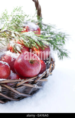 Cesto con mele rosse decorate ramo di abete, coperte di neve in natura inverno forest Foto Stock