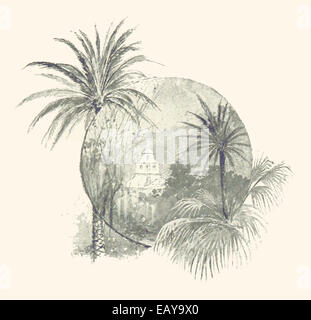 Questa illustrazione del 1889 raffigura la cattedrale di St. Augustine, Florida, dalla piazza, che mostra la bellezza architettonica della cattedrale e il paesaggio urbano circostante di epoca coloniale. Foto Stock