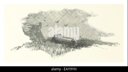 Questa illustrazione del 1889 dalla Florida raffigura un vecchio cannone situato a St. Augustine, che mette in evidenza il significato storico del monumento in questa antica città americana. Foto Stock