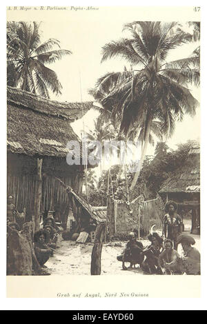 PAPUA-Typen, Tafel 47 Foto Stock