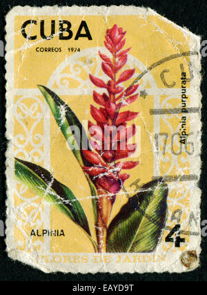 CUBA - circa 1974: un timbro stampato in Cuba, mostra una flora la vita, il fiore, circa 1974 Foto Stock
