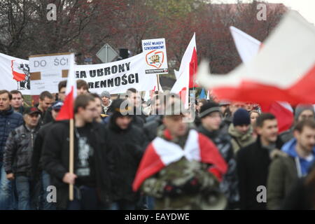 Gdansk, Polonia 22nd, Novembre 2014 di estrema destra "Movimento Nazionale l' organizzazione di attivisti protesta al di fuori del voivodato di Pomerania creazione. I manifestanti hanno inscenato la protesta sotto lo slogan "top manipolazione elettorale,' impegnativo il licenziamento immediato di tutti i membri di PKW (Commissione nazionale elettorale) e la ripetizione delle elezioni locali. Credito: Michal Fludra/Alamy Live News Foto Stock