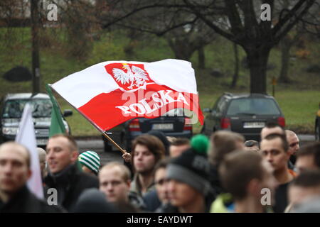 Gdansk, Polonia 22nd, Novembre 2014 di estrema destra "Movimento Nazionale l' organizzazione di attivisti protesta al di fuori del voivodato di Pomerania creazione. I manifestanti hanno inscenato la protesta sotto lo slogan "top manipolazione elettorale,' impegnativo il licenziamento immediato di tutti i membri di PKW (Commissione nazionale elettorale) e la ripetizione delle elezioni locali. Credito: Michal Fludra/Alamy Live News Foto Stock