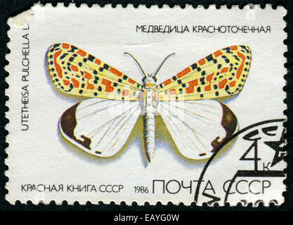 Unione Sovietica - circa 1986: un timbro stampato in URSS, mostra Butterfly Utetheisa piuttosto Utetheisa pulchella , dalla serie Red Book URSS, ci Foto Stock