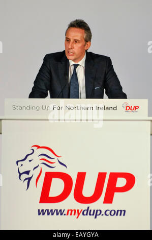 Belfast, Irlanda del Nord. 22 Novembre, 2014. MP per North Antrim, Ian Paisley Jr, al 2014 Conferenza DUP Credit: stephen Barnes/Alamy Live News Foto Stock