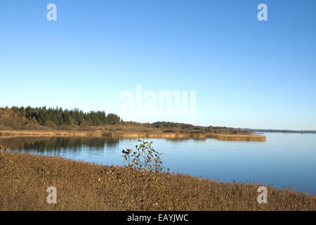 Lago a cadere. Shot preso vicino a Skanderborg, Danimarca Foto Stock