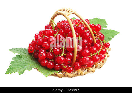 Ribes rosso e verde delle foglie nel Piccolo cesto di vimini isolati su sfondo bianco Foto Stock