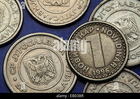 Monete della Iugoslavia. Uno iugoslavo novi dinar coin (1996). Foto Stock