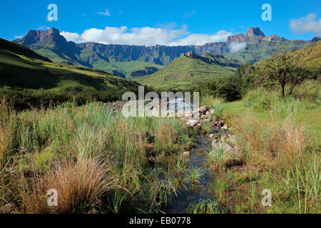 Anfiteatro e Tugela river, montagne Drakensberg, Royal Natal National Park, Sud Africa Foto Stock