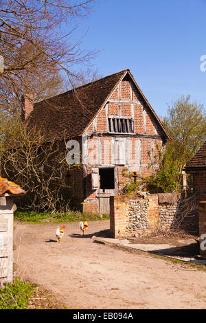 Vecchio edificio di fattoria con polli all'esterno. Foto Stock