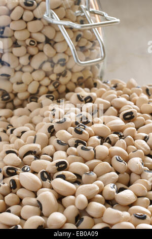 California Blackeye piselli in un vetro vaso di storage Foto Stock