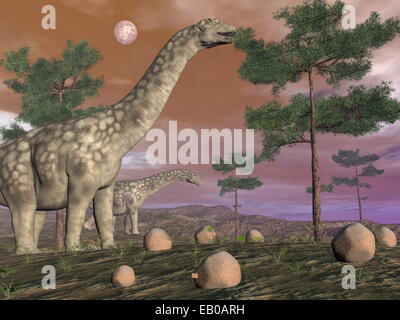 Dinosauri Argentinosaurus mangiare nella parte superiore della struttura ad albero di notte- 3D render Foto Stock