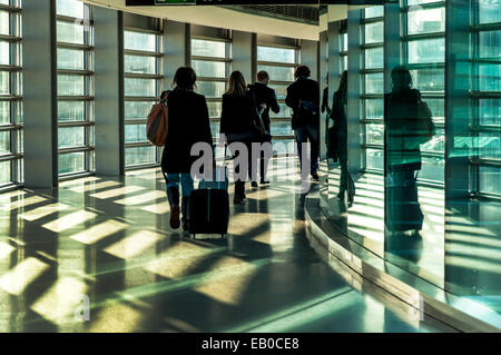 Aeroporto di Dublino, Irlanda. Il 23 novembre 2014. Luminosa giornata di sole proietta ombre nella passerella arrivi al Terminal uno di arrivo dei passeggeri di un volo nel Regno Unito presso la capitale irlandese dell'aeroporto. Credito: Richard Wayman/Alamy Live News Foto Stock