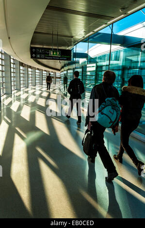 Aeroporto di Dublino, Irlanda. Il 23 novembre 2014. Luminosa giornata di sole proietta ombre nella passerella arrivi al Terminal uno di arrivo dei passeggeri di un volo nel Regno Unito presso la capitale irlandese dell'aeroporto. Credito: Richard Wayman/Alamy Live News Foto Stock