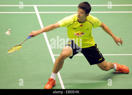 Hong Kong, Cina. 23 Nov, 2014. Chen a lungo della Cina restituisce la navetta durante hi uomini singoli match finale contro il figlio di Ho Wan della Corea del Sud al Yonex-Sunrise Hong Kong apre a Hong Kong, Cina del sud, nov. 23, 2014. Chen ha perso 0-2. © Lo Fai Ping/Xinhua/Alamy Live News Foto Stock