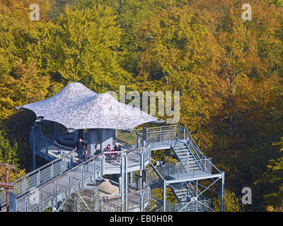 Treetop passeggiata nel Parco Nazionale Hainich, Germania Foto Stock
