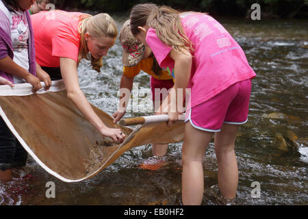 Gli studenti controllare reti per la vita marina in western North Carolina flussi durante la punta sulla Valle del fiume le dita dei piedi nella punta Festival Settembre 11, 2014 vicino a Asheville, NC. La fondazione senza scopo di lucro porta quinto grado gli studenti di un avventura per saperne di più sulla conservazione e l'ecologia del fiume. Foto Stock