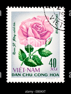 Francobollo dal Vietnam raffigurante una rosa rosa. Foto Stock