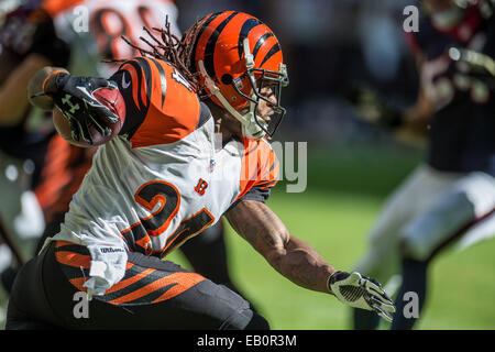 Houston, Texas, Stati Uniti d'America. 23 Nov, 2014. Cincinnati Bengals cornerback Adam Jones (24) restituisce un kick durante la 1a metà di un gioco di NFL tra Houston Texans e Cincinnati Bengals a NRG Stadium di Houston, TX in Novembre 23rd, 2014. Credito: Trask Smith/ZUMA filo/Alamy Live News Foto Stock