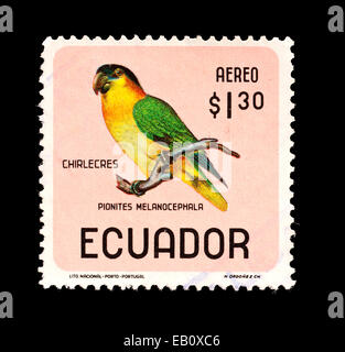 Francobollo da Ecuador raffigurante a testa nera parrot (Pionites melanocephala) Foto Stock