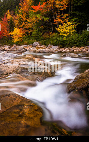 Colore di autunno e cascate sul fiume Swift, lungo l'autostrada Kancamagus nel White Mountain National Forest, New Hampshire. Foto Stock