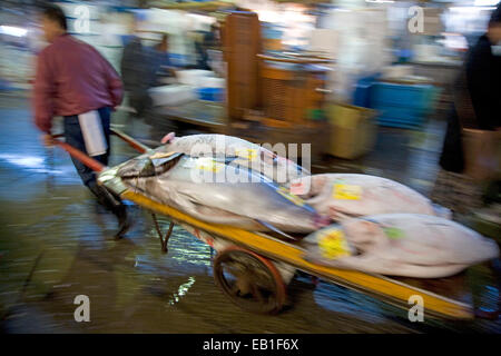 Tokyo centrale mercato all'ingrosso, il Mercato del Pesce di Tsukiji, Tokyo, Giappone Foto Stock