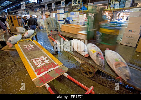 Tokyo centrale mercato all'ingrosso, il Mercato del Pesce di Tsukiji, Tokyo, Giappone Foto Stock