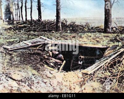 La contemporanea Colorata propaganda tedesca la foto mostra un tedesco campo di artiglieria canon in un mimetizzata posizione frontale in 1915/1916. Foto: Neumann Archivio - NESSUN SERVIZIO DI FILO Foto Stock