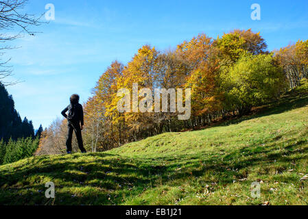 In autunno il paesaggio di montagna con Sun Foto Stock