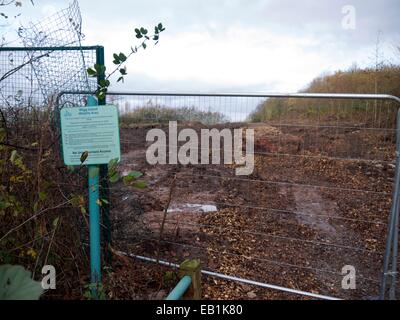 Runcorn, Regno Unito. 24 Novembre, 2014. Wigg Island Wildlife area distrutta a causa della costruzione del nuovo Mersey ponte Gateway. Il Mersey Gateway è un nuovo ponte stradale sul fiume Mersey e il Manchester Ship Canal nel nord-ovest dell'Inghilterra, che cominciò la costruzione nel maggio 2014. Credito: Dave Baxter/Alamy Live News Foto Stock