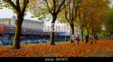 Bristol, Inghilterra - Ottobre 31st, 2014: Golden autunno cadono le foglie sulla banchina stretta oltre il bacino galleggiante area di Bristol. Foto Stock