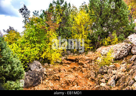 Vista autunnale del Krizevac (Cross) montagna a Medjugorje in Bosnia ed Erzegovina: marroncina alberi, erbe infestanti verdi, arancione e giallo di foglie e di rocce grigie Foto Stock