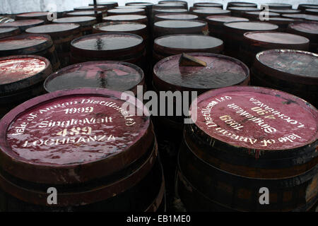 Vecchie botti in legno di whiskey in Isola di Arran distillery.Lochranza,Isle of Arran,Scozia,UK Foto Stock