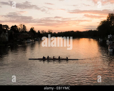 I canottieri lungo il fiume Tamigi in Marlow al tramonto Foto Stock