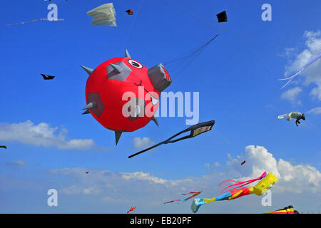 Il Kite festival sulla spiaggia di Schillig Foto Stock