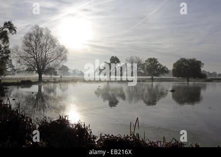 Bushy Park, SW London, England, Regno Unito. Il 24 novembre 2014. Gli alberi si riflette nelle calme acque del heron pond in una nebbiosa e frosty mattina a Bushy Park nel sud-ovest di Londra. Credito: Julia Gavin UK/Alamy Live News Foto Stock