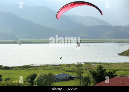 Parapendio vola nei cieli sopra il lago Phewa dopo il salto dal minor pendici dell'Annapurnas-Himalayas. Pokhara-Nepal. Foto Stock