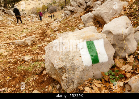 Escursionismo. La Golan Trail . Il monte Hermon. Alture del Golan. Israele. La Siria. Asia Foto Stock