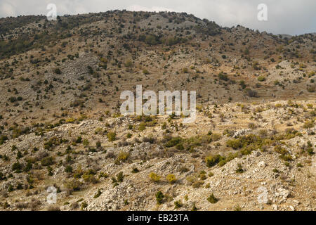 Montagne. Alture del Golan. Israele. La Siria. Asia Foto Stock