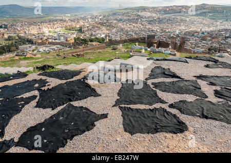 Tinto nero pelli di animali di essiccamento sopra la città di Fez, Marocco, Africa Foto Stock