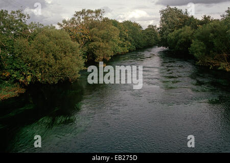 Fiume OWENMORE DOVE POLLEXFEN'S MILL, posseduta dal poeta William Butler Yeats era situato, BALLYSADARE, Sligo, Irlanda Foto Stock