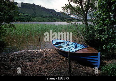Barca a remi tra i canneti, GLENCAR Lago e collina LUGNAGALL, nella contea di Sligo, Irlanda. Come indicato dal poeta, drammaturgo e vincitore del premio Nobel della letteratura, William Butler Yeats in 'il furto del bambino". Foto Stock