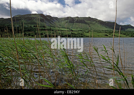 GLENCAR Lago e collina LUGNAGALL, nella contea di Sligo, Irlanda. Come indicato dal poeta, drammaturgo e vincitore del premio Nobel della letteratura, William Butler Yeats in 'il furto del bambino" Foto Stock