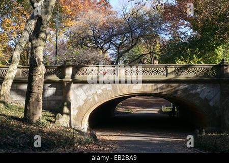 Un ponte di Central Park di New York City. Foto Stock