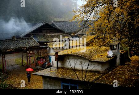 Xuan'en, la Cina della provincia di Hubei. 25 Nov, 2014. Foto scattata il 9 novembre 25, 2014 mostra un vecchio albero di gingko Maobatang nel villaggio di Xuan'en County, centrale cinese della provincia di Hubei. Il vecchio albero di gingko, che è più di 1.500 anni, è di oltre trenta metri di altezza con un perimetro di 18 metri. Credito: Song Wen/Xinhua/Alamy Live News Foto Stock