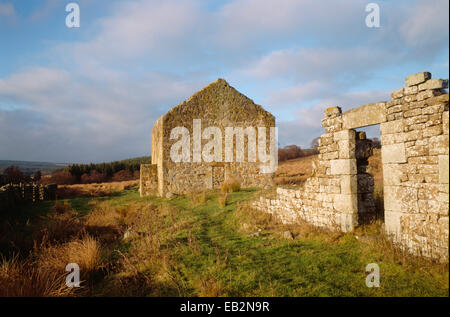 Vista da sud-est, Black Middens Bastle House, Northumberland, Regno Unito Foto Stock
