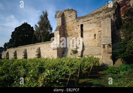 Il blocco cucina dalla vigna, Palazzo dei Vescovi, Lincoln, Lincolnshire Foto Stock