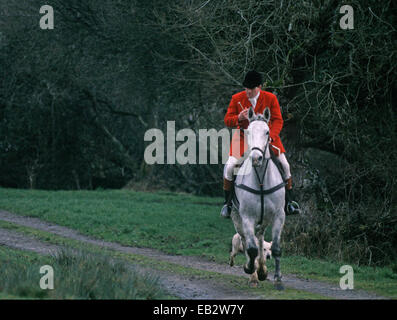 HOUND MASTER nella Contea di Kilkenny Hunt, Irlanda. Foto Stock